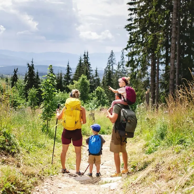A family of four with backpacks hiking on a mountain trail