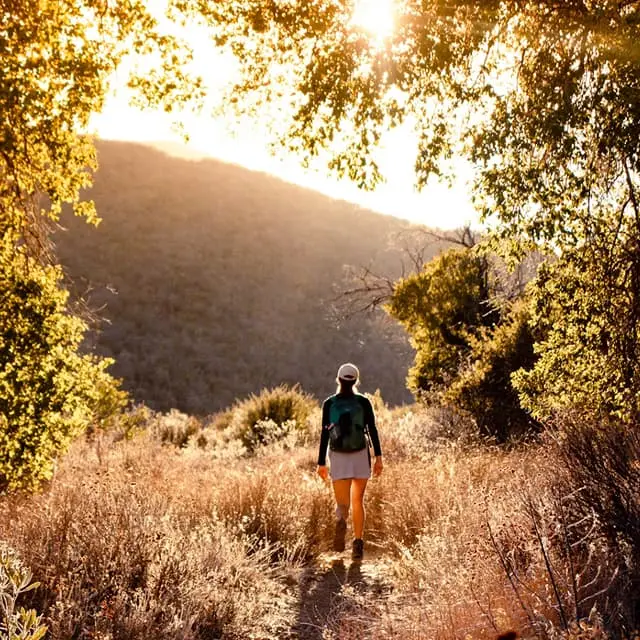 A solo hiker walking through a golden meadow at sunset